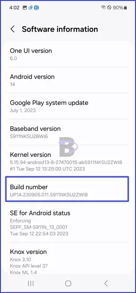 build number