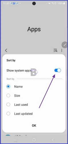 Show system apps